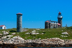 Island of Matinicus Rock Lighthouse is Also a Bird Santuary
